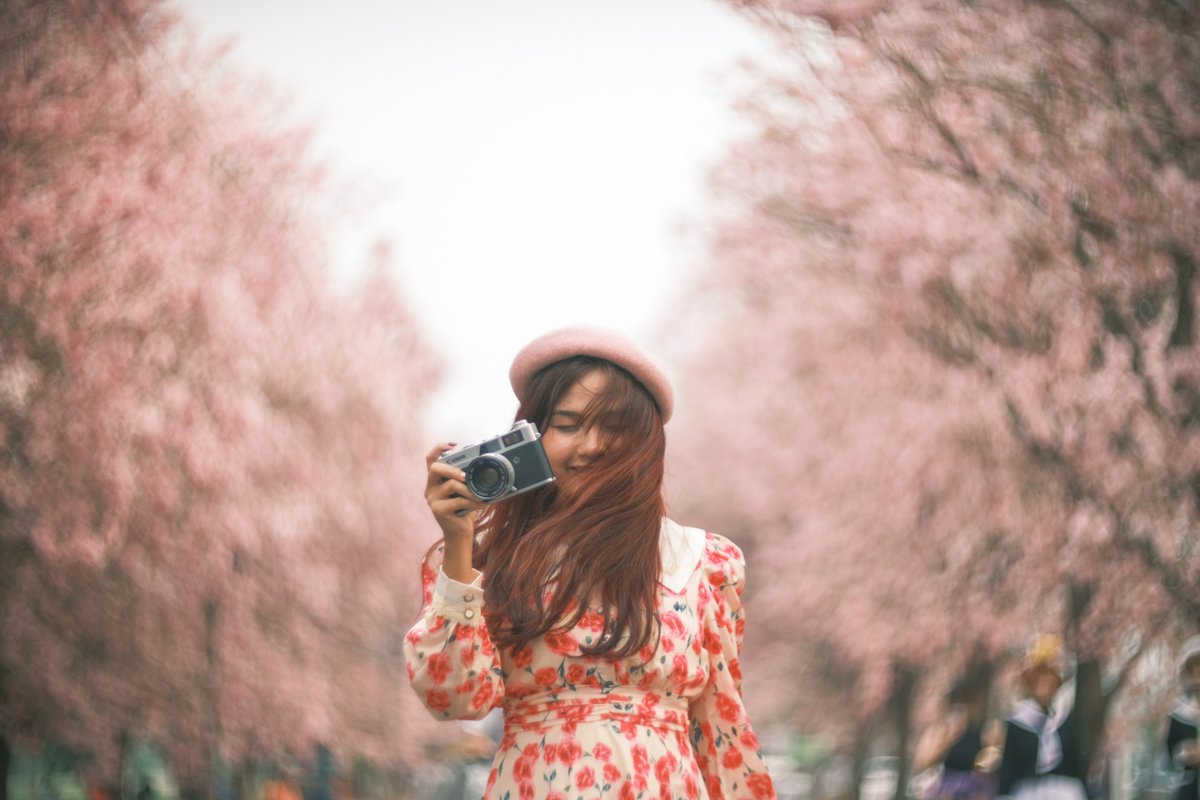 Kanbokeh's tweet photo. Blooming pink flowers like my heart is pink too.🌸🌸🌸 https://t.co/ic48P5Tydg
