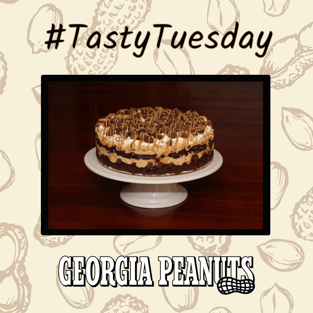 gapeanuts's tweet photo. In honor of #nationalpeanutmonth, we are sharing some #tastytuesday recipes! This week we want to feature this peanut butter brownie cheesecake! To learn how to make it, visit https://t.co/fyRt6o3o7A !π₯π« #eatmorepeanuts #peanutrecipes #gapenauts #georgiapeanuts #peanutsuperfood https://t.co/FKEY6aPoYE