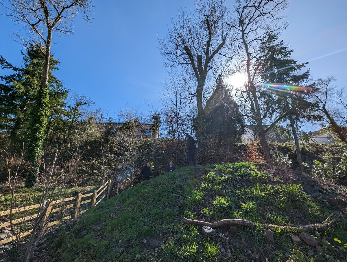 Tropical 8°at #betwspark #parcybetws #ybydybetws now. Helping volunteers @friendsofbetws and @ColegSirGar students in the #natureproject #natur #nature #biodiversity #localplacesfornature @HeritageFundCYM @heritagefunduk @welshgovernment @garddioamwy @walesbotanic @BBCCountryfile