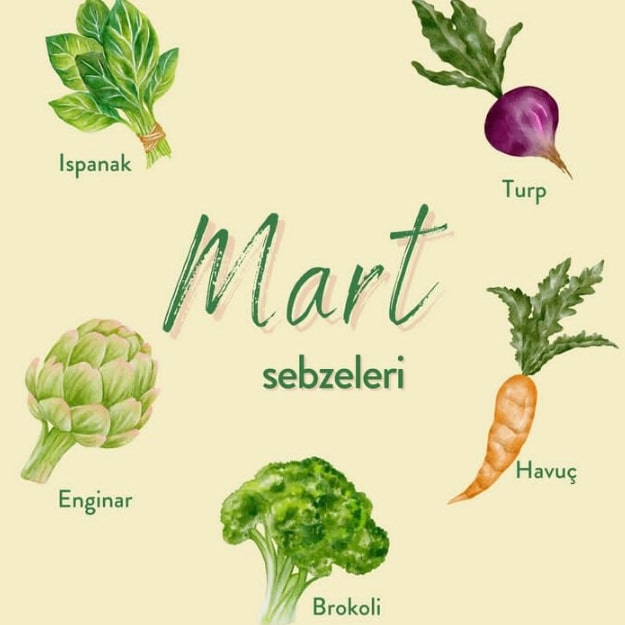 sagliklibeslen_'s tweet photo. #mart
#martsebzeleri
#sağlıklıbeslenmeyolculuğu
#sağlıklıbeslen
#beykozüniversitesi https://t.co/XkRMAfq9Xl