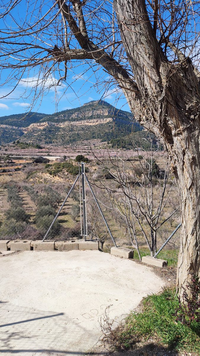 JoseLuisArqt's tweet photo. Día de trabajo de campo
.
.
#arquitectura #architecture #paisajismo #paisaje #landscape #parquenatural #chera #valencia #fotografia #photography #olivo #tree #huerta #montañas #mountains #primavwra #spring #marzo https://t.co/FgOCpkUtPK
