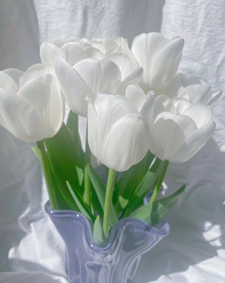 piinkibun's tweet image. white tulips &amp;lt;3