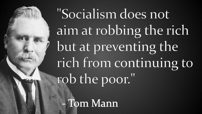 'The real purpose of socialism is precisely to overcome and advance beyond the predatory phase of human development.'

-Albert Einstein