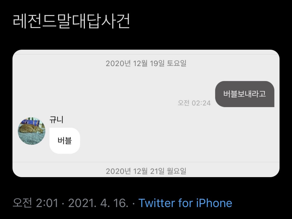 북디 tweet media