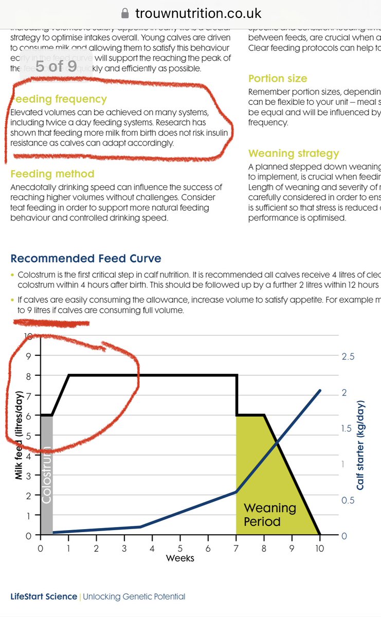 HefinR's tweet photo. @Rhianpricemedia @SaraPedersen3 @AHDB_Dairy Looking forward to hearing Alex again tomorrow…so pleased to see that recommendations are in line with other industry research and advice🙈🤷‍♂️🐄 @TrouwNutr_GB #calfconfusion #teamdairy https://t.co/bsJ3mGOyAW