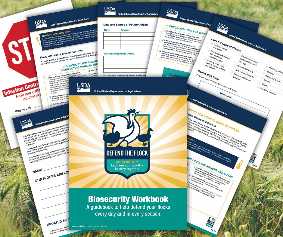 Whether you are new to poultry or already own birds, use the #DefendtheFlock Biosecurity Workbook to make sure you are doing everything you can to help prevent the spread of poultry disease. Download here: bit.ly/DefendtheFlock…