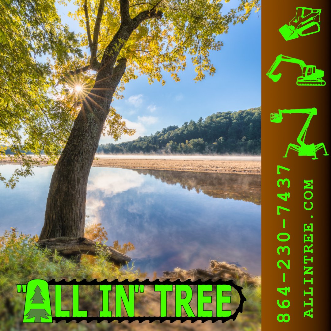 ALLINTREE's tweet photo. Text or call for a free estimate today.  864-230-7437 https://t.co/O1wjLGToNh