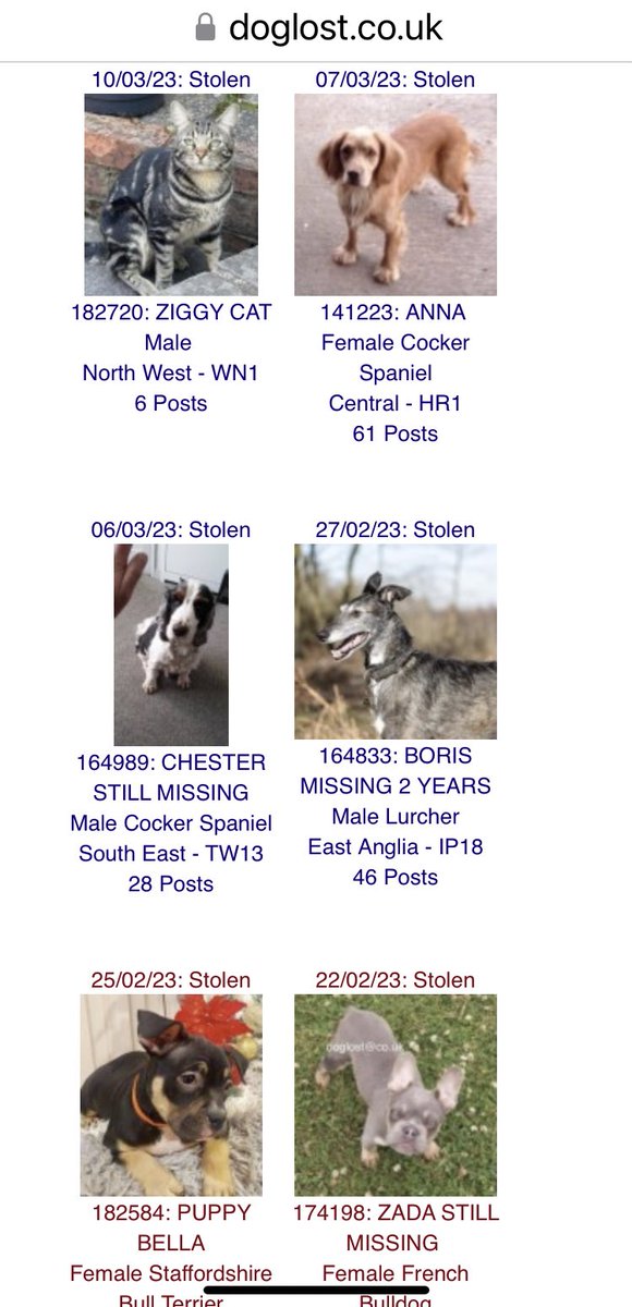 SAMPAuk_'s tweet photo. #PetTheft breaks hearts 💔 Do you recognise any of these #stolen #pets? Dogs are taken from gardens, homes, outside shops, cars or on walks #KeepAlert #StaySafe #DogTheftAwarenessDay #PetTheftReform All these pictured are listed on https://t.co/CqcvWabREd #MakeChipsCount https://t.co/dFBL3HBPUX
