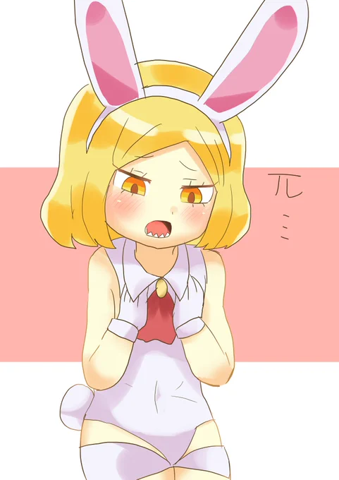 #1日1バニヤン #FGO πが気になるバニヤン 