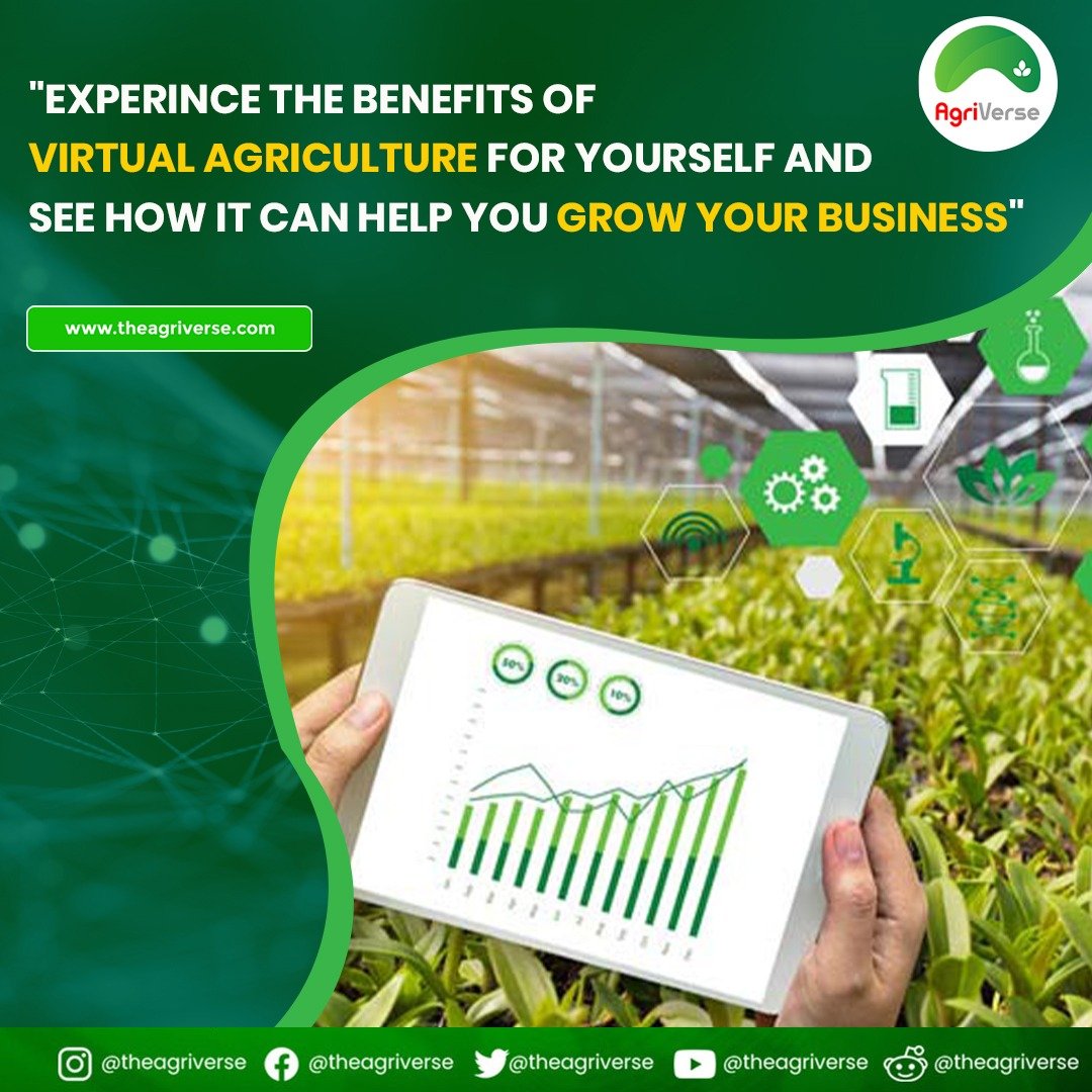 TheAgriverse's tweet photo. Experience the benefits of virtual agriculture 🌱🌴🌳 for yourself  and see how it can help you grow your business 💹💹🌱
.
.
.
For more details, visit @theagriverse
. for future updates 
.
.
.
#Agriverse #blockchaintechnology #agriculture #farm #farmer #metaverse #nft #crypto #nfts #ethereum #nftart #meta #cryptocurrency #nftcommunity #bitcoin #blockchain #digitalart #art #nftcollector #eth #opensea #btc #nftartist #virtualreality #cryptoart #nftdrop #cryptonews