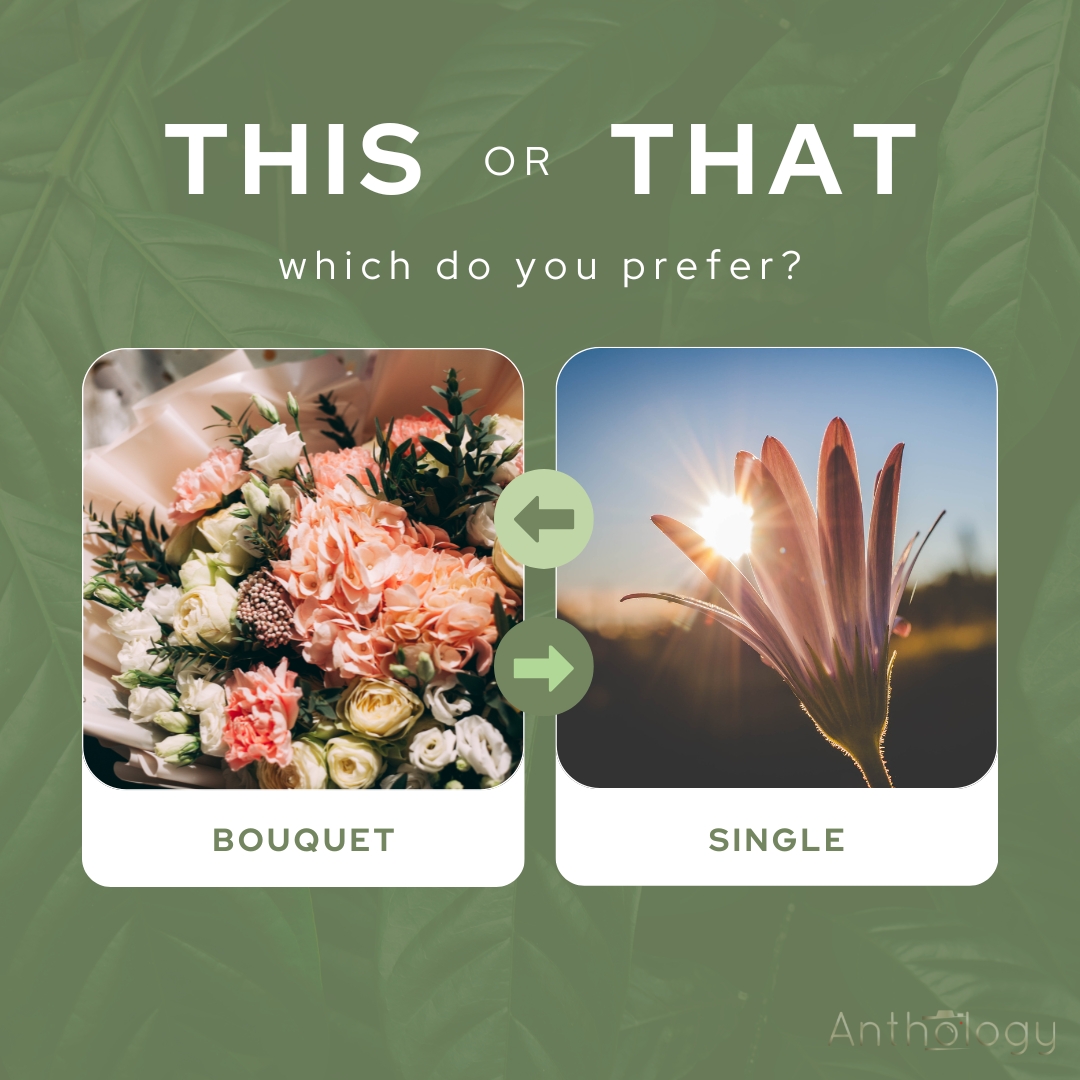 It's almost spring!! We're over the winter 🥶

What type of flower's are you looking forward to snapping this year? Do you create bouquets or pull a single? Let us know below ⬇️

#flowerPower #flowerPhoto #flowerPhotography #photography #springPhotography