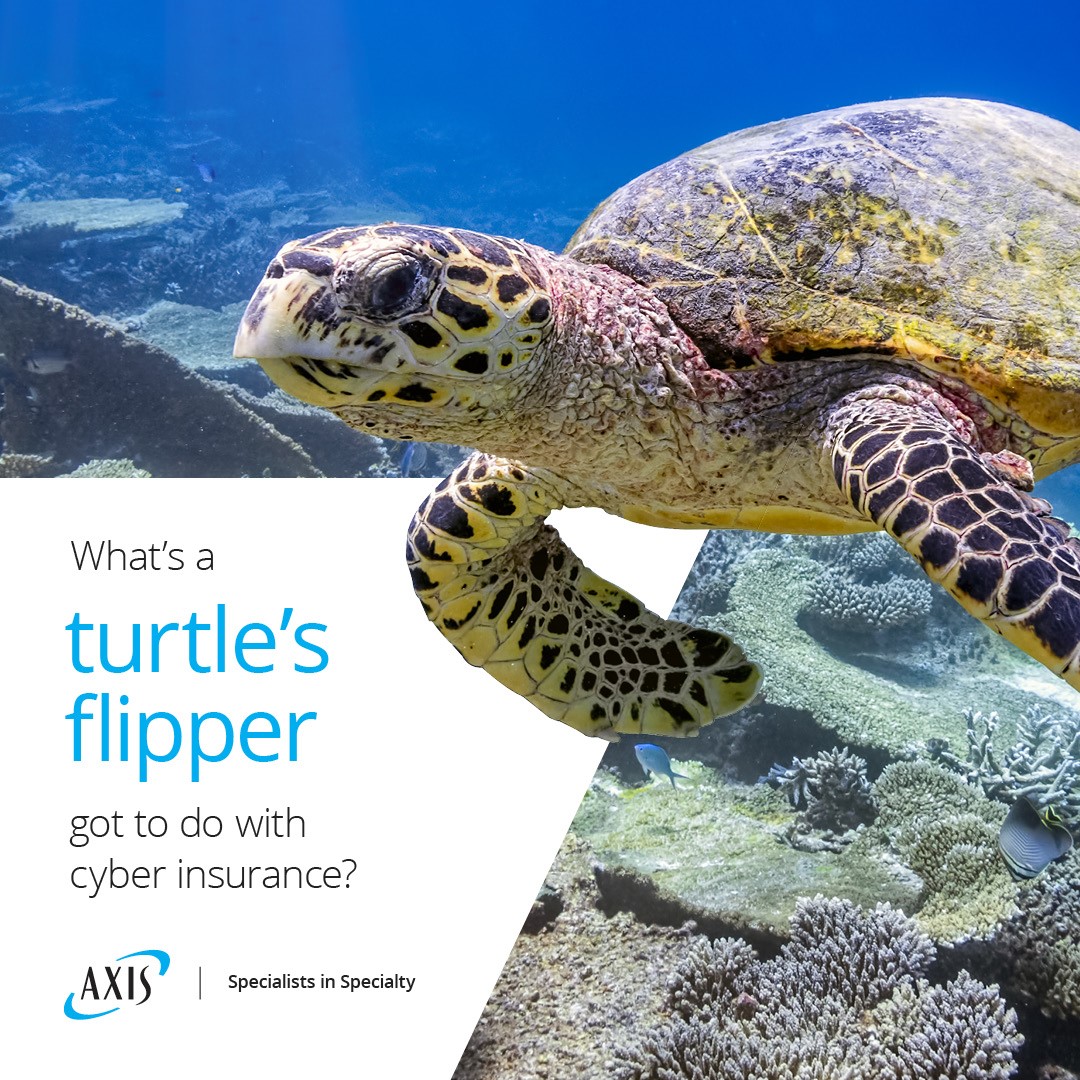 AXIS_Capital's tweet image. What’s a turtle’s flipper got to do with cyber insurance and specialty underwriting? Click to find out in our 35 Views of Cyber Risk Part II. 

Read it here: bit.ly/3SZsx90  

#specialtyinsurance #35views #cybersecurity