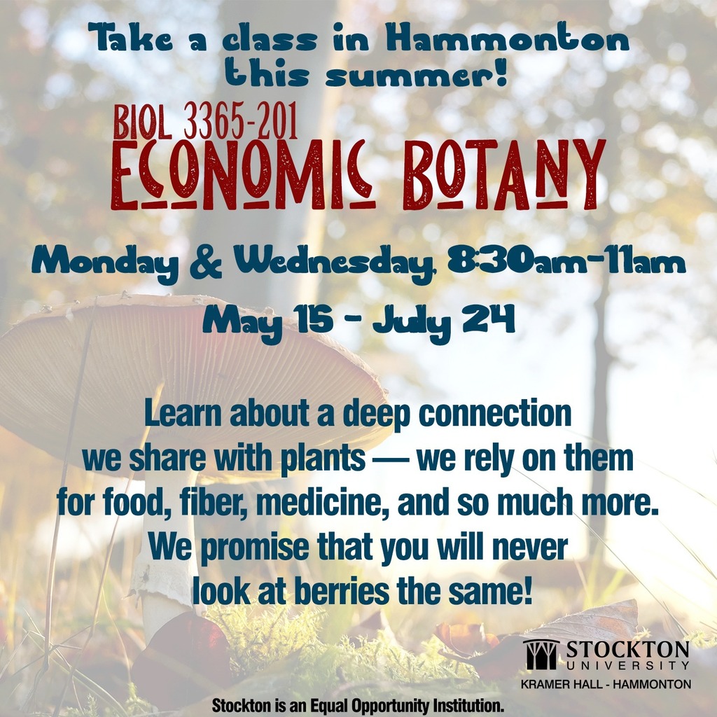 Enroll in Economic Botany at Stockton University at Hammonton today! #hammontonnj #KramerHall #hammonton #blueberries #stocktonuniversity #summerclasses #nj #southjersey #stocktonu #downtownhammonton