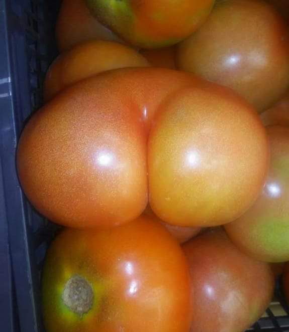 gabrrlgh's tweet image. este tomate tiene más cul* q tu 3@