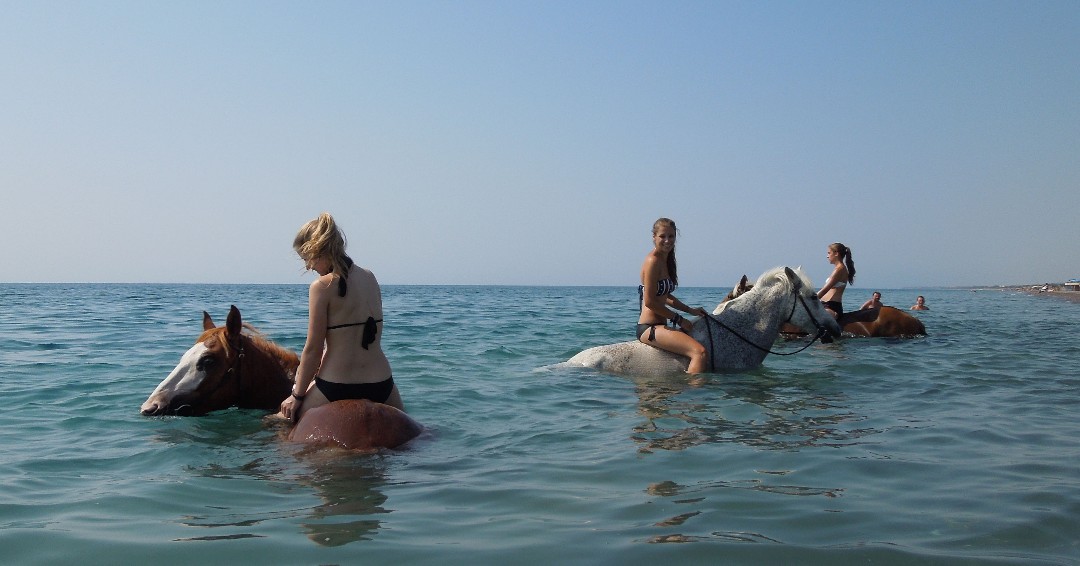 Randocheval's tweet photo. RHODES...
Qui dit mieux ?

✅ 300 jours de soleil par an
✅ Les baignades avec les chevaux
✅ La gastronomie grecque

➡️ 8 jours à partir de 1530 € + vols
➡️ Plus d'infos : https://t.co/Lt5NiJofH9 https://t.co/6m6ILssKkz