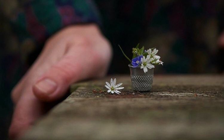“Sabır çiçektir, mutlaka açar.”