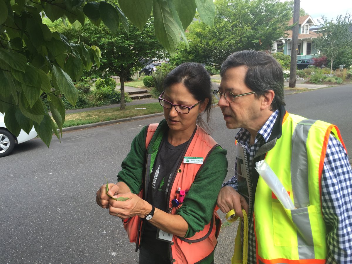 PDX Urban Forestry tweet media