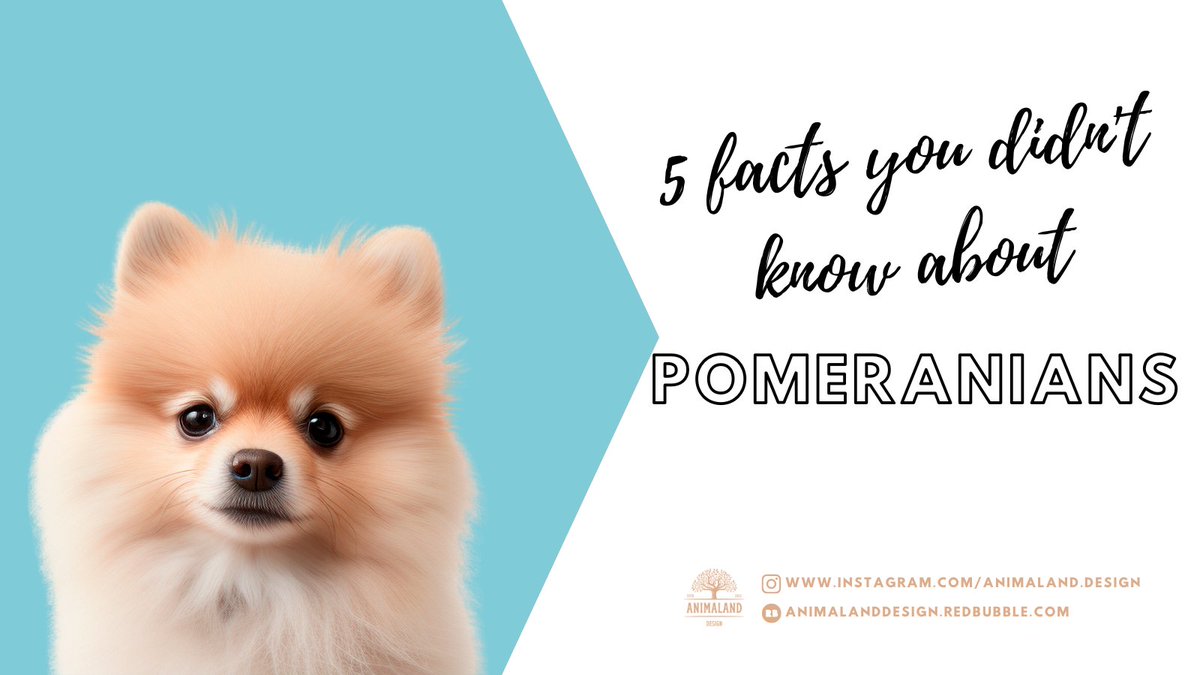 #cuteanimal #nurserydecor #bedroomdecor #kidsbedroom #kindergarten #poster #wallart #walldecor #dog #doglover #doglovers #puppy #puppylove #puppylover #dogoftheday  #petlovers #loveanimals #babyroom #babyroomdecor #pomeranian #pomeranianpuppy #pomeranianworld #pomeranianlife