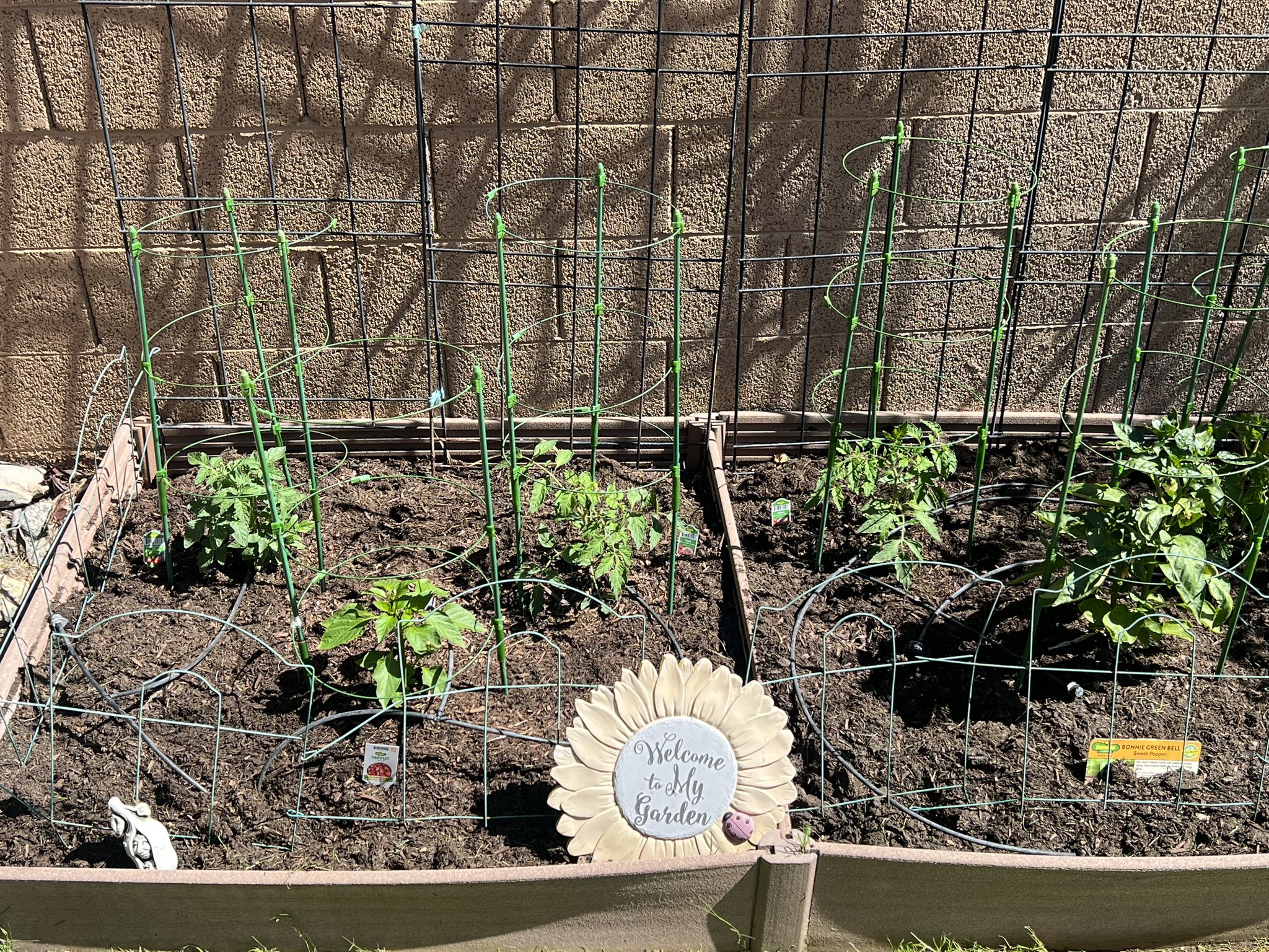 AZ METALS on Twitter "WhitelawRigging go_hourly samiamiu BillGarlandSpkr BSentigar