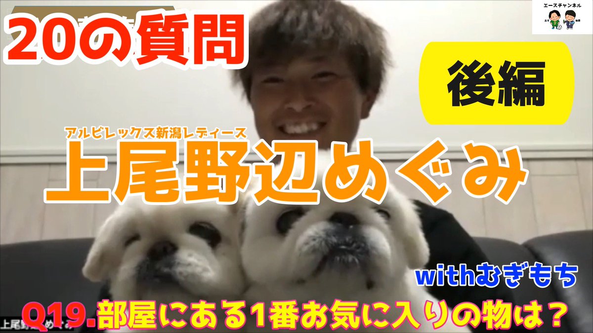 エースチャンネル/ASCHANNEL tweet media