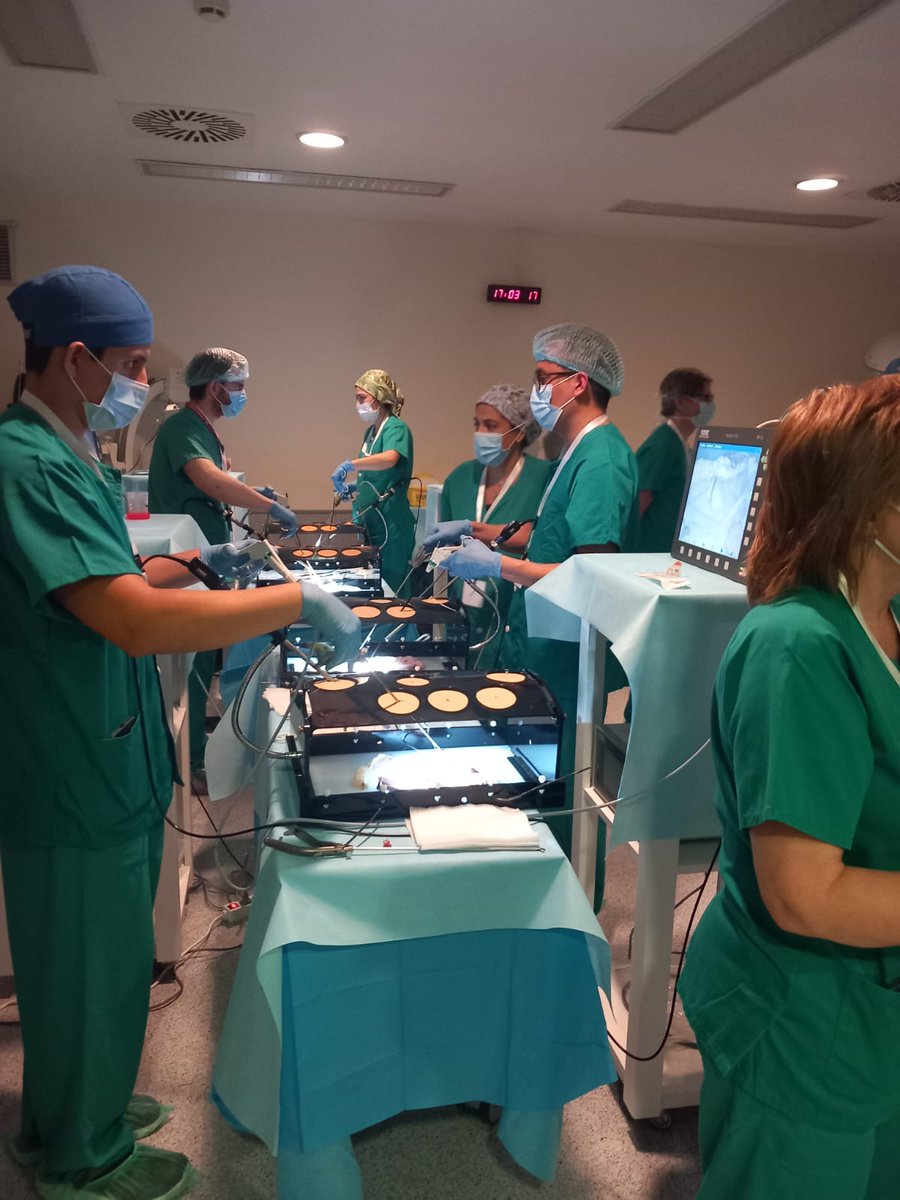 Sociedad Española de Cirugía de la Obesidad tweet media