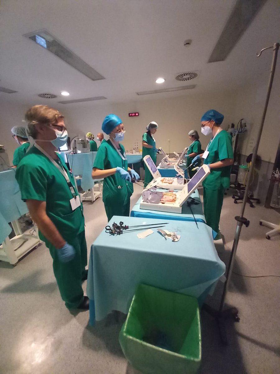 Sociedad Española de Cirugía de la Obesidad tweet media