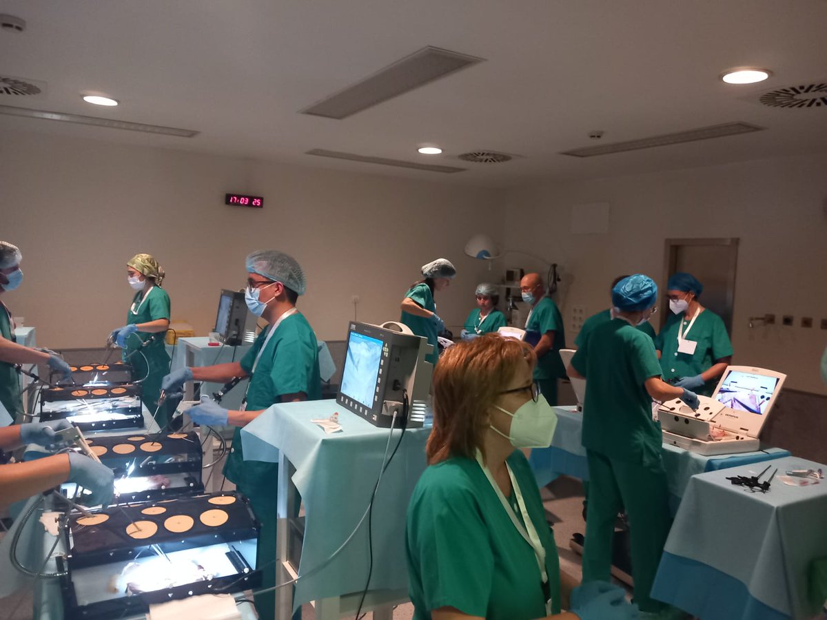 Sociedad Española de Cirugía de la Obesidad tweet media