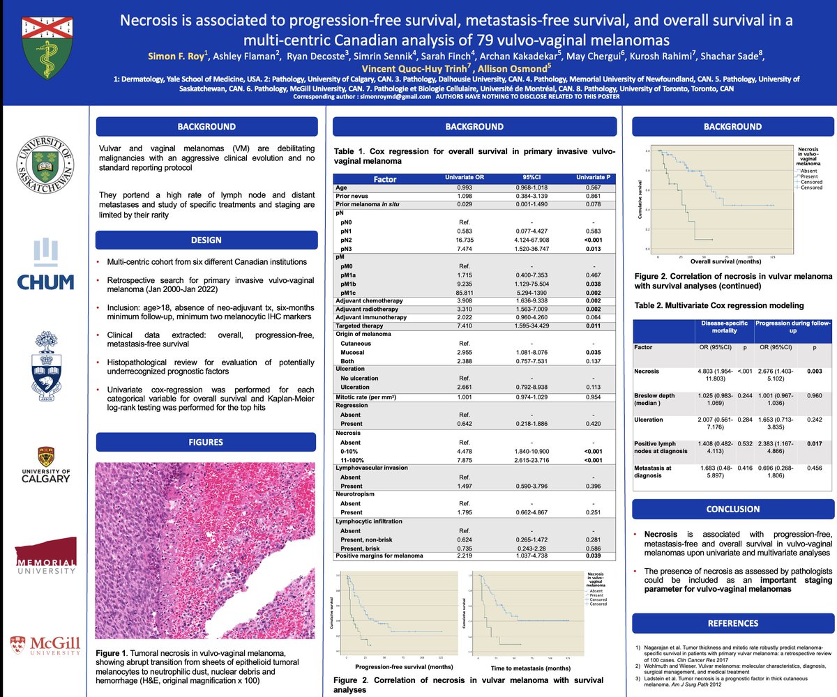 🔬Tumor necrosis in vulvo-vaginal melanomas: a large Canadian cohort from 6 institutions. Poster #33 #USCAP2023 this afternoon, 2-4pm come say hi. Thanks to all collaborators and Dr. Trinh and Dr. Osmond (@redsnapperpath), best PIs. Strong independent prognostic factor!