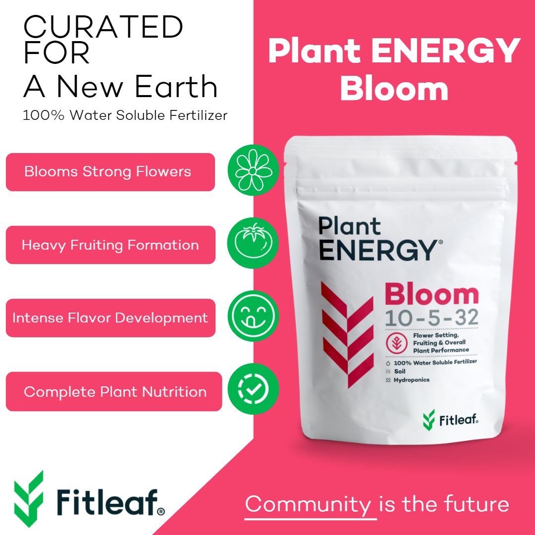 Fitleaf1's tweet photo. Become food independent; growing our food is a symbol of independence! It empowers us to feed our loved ones and the world😁 #gardening #gardeningmemes #growfood https://t.co/mONB8I6xGU
