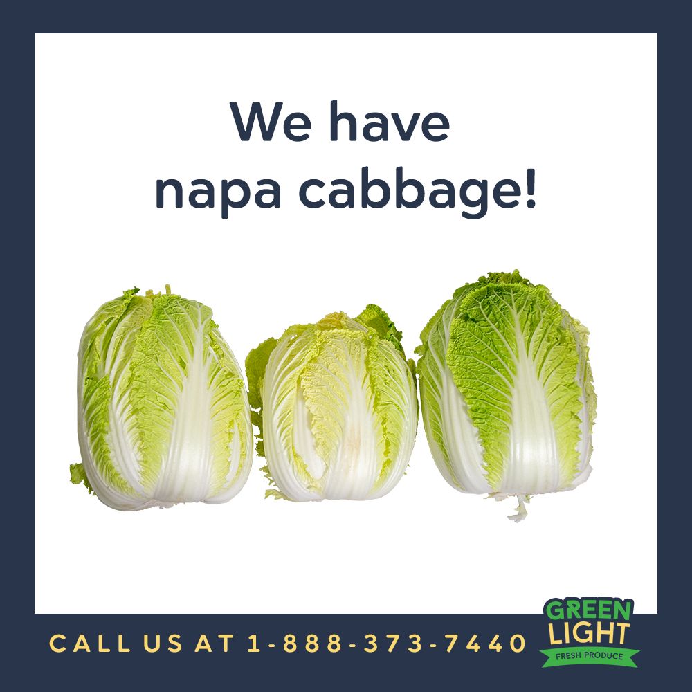 greenlightfresh's tweet photo. We have fresh Napa cabbage! Call us for more information on it and our Green Light line up!
 #freshproduce #produce #greenlight https://t.co/KRhtJw64WN