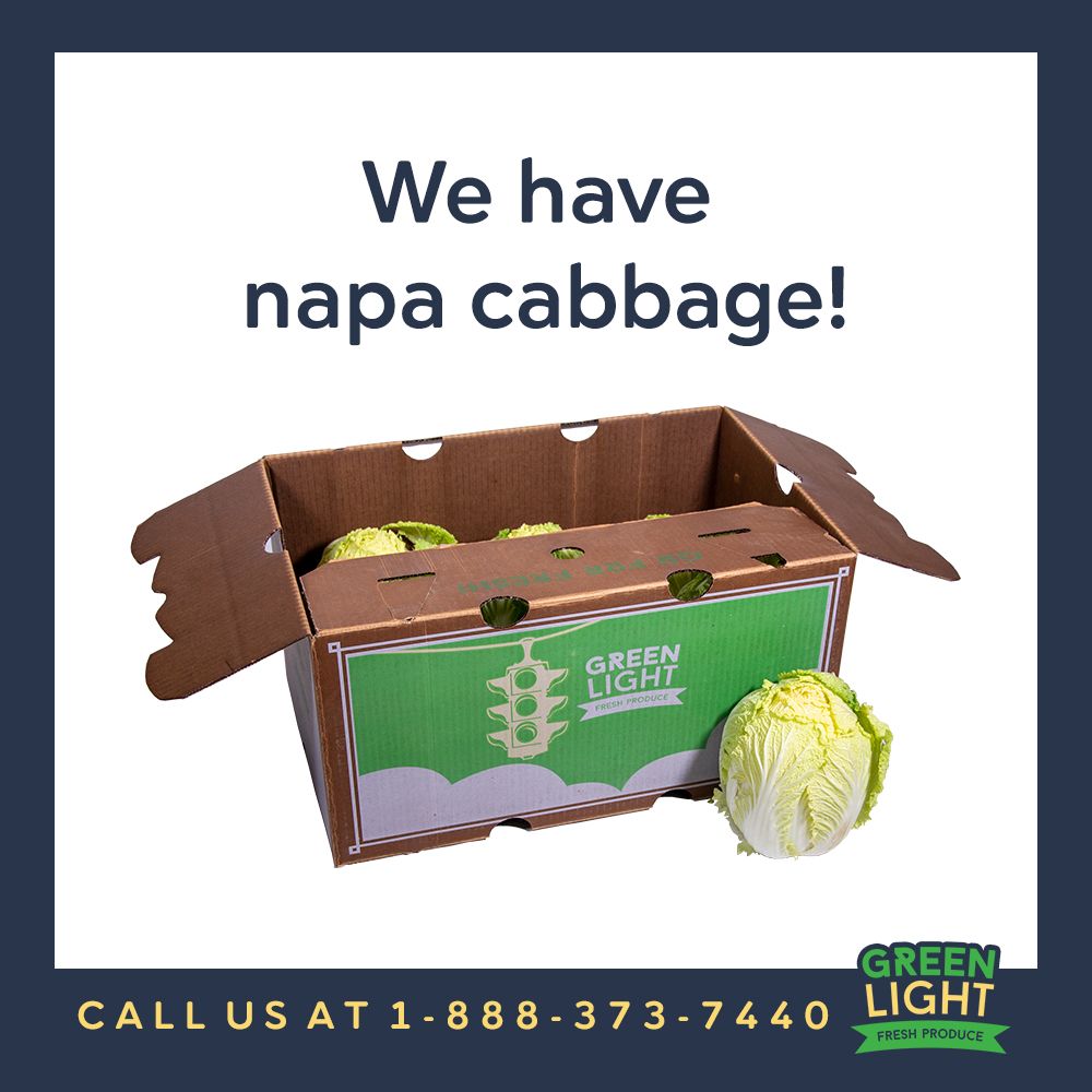 greenlightfresh's tweet photo. We have fresh Napa cabbage! Call us for more information on it and our Green Light line up!
 #freshproduce #produce #greenlight https://t.co/KRhtJw64WN