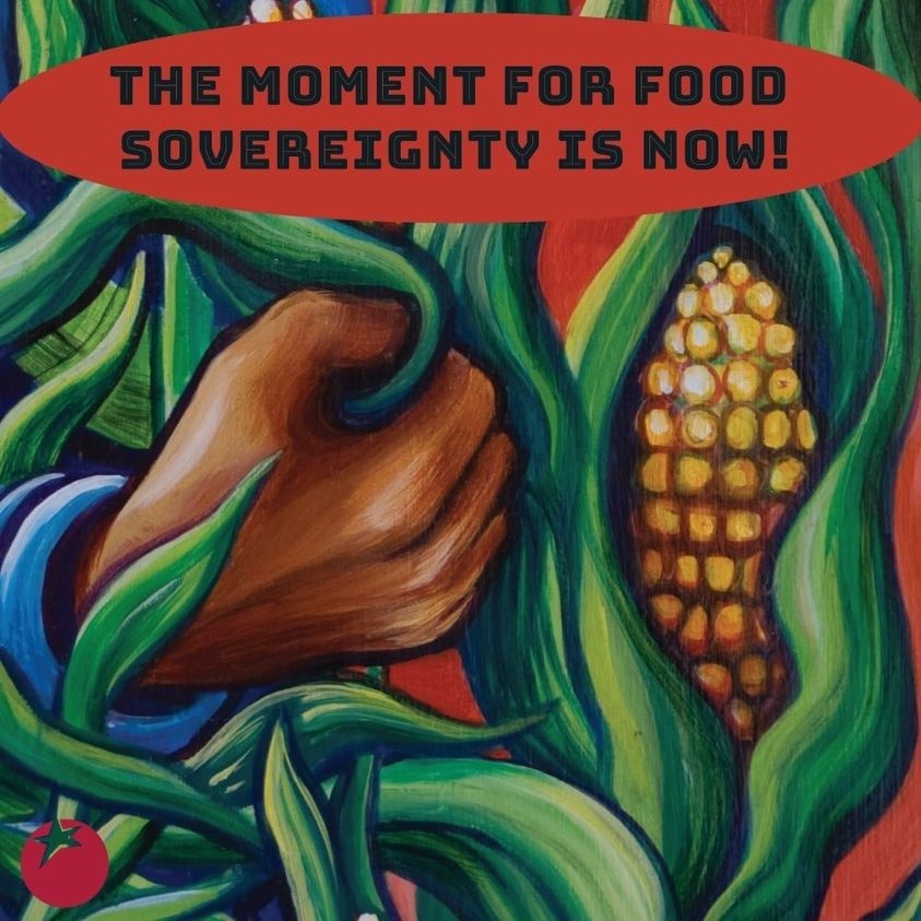 Fitleaf1's tweet photo. Become food independent; growing our food is a symbol of independence! It empowers us to feed our loved ones and the world😁 #gardening #gardeningmemes #growfood https://t.co/mONB8I6xGU