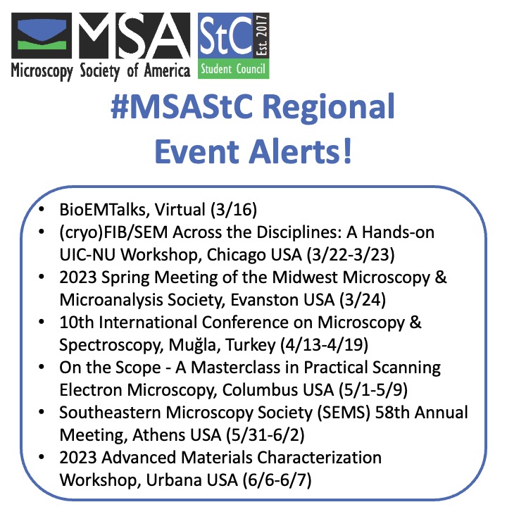 MSA Student Council tweet media