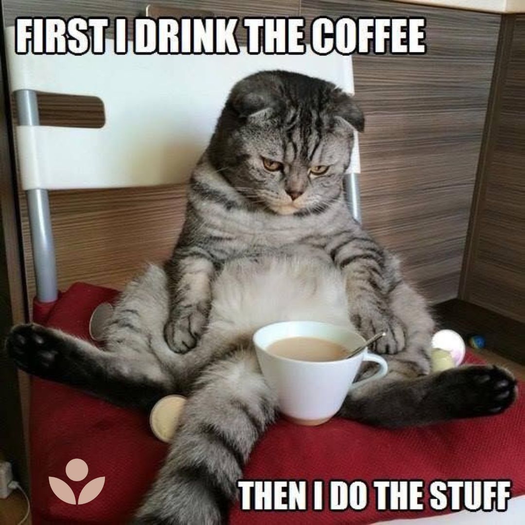 SatelliteCoffee's tweet photo. #coffeehumor #satellitecoffee #albuquerquecoffee #coffeetime #coffeelover #albuquerque #coffee #coffeeshop #coffeeaddict #abqlocal https://t.co/nTzAfiIg37