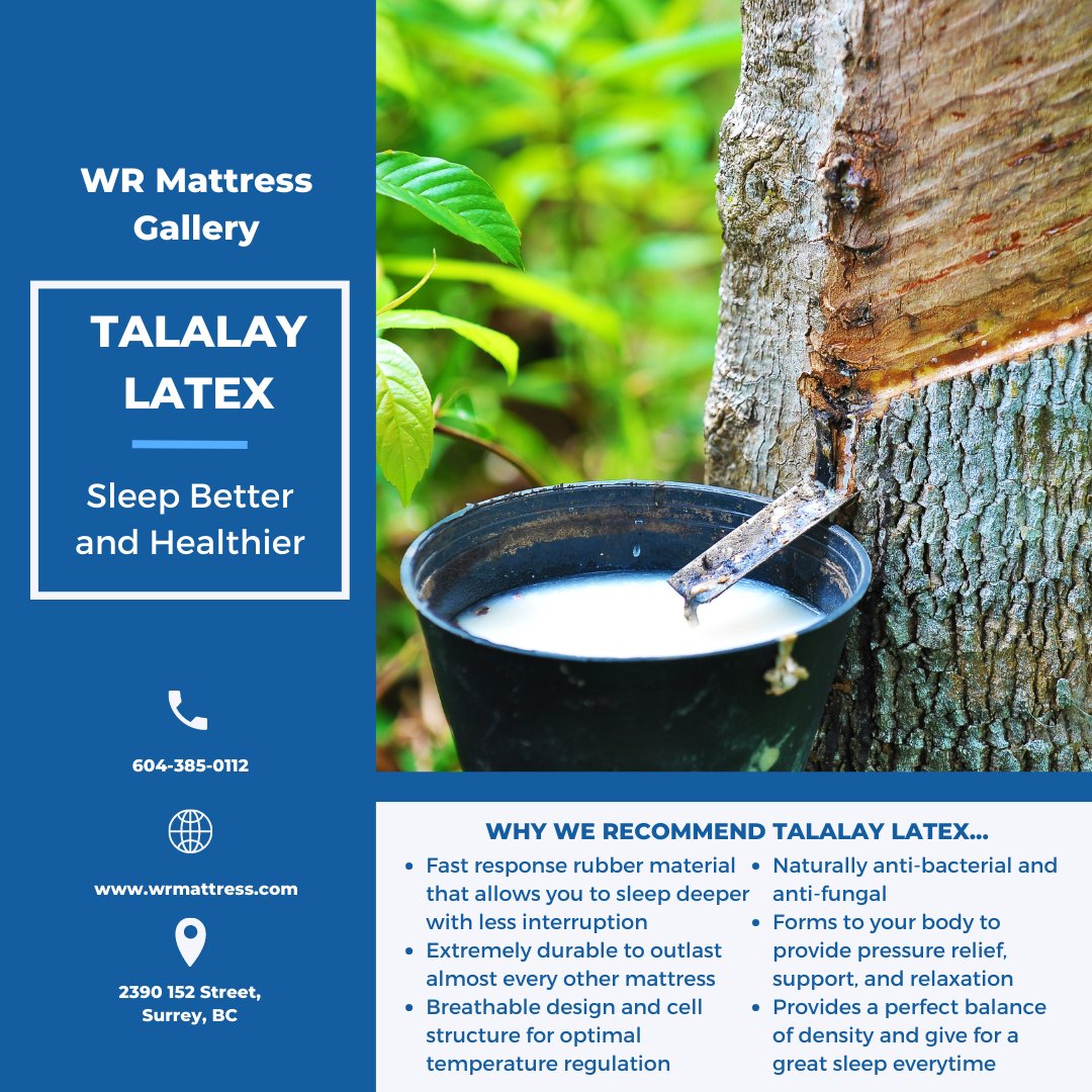 WRMATTRESS's tweet image. Derived from the rubber tree, mattresses made with Talalay latex are revolutionary in sleep health. Here&apos;s why we love them...

#wrmattress #sleep #bed #mattress #talalaylatex