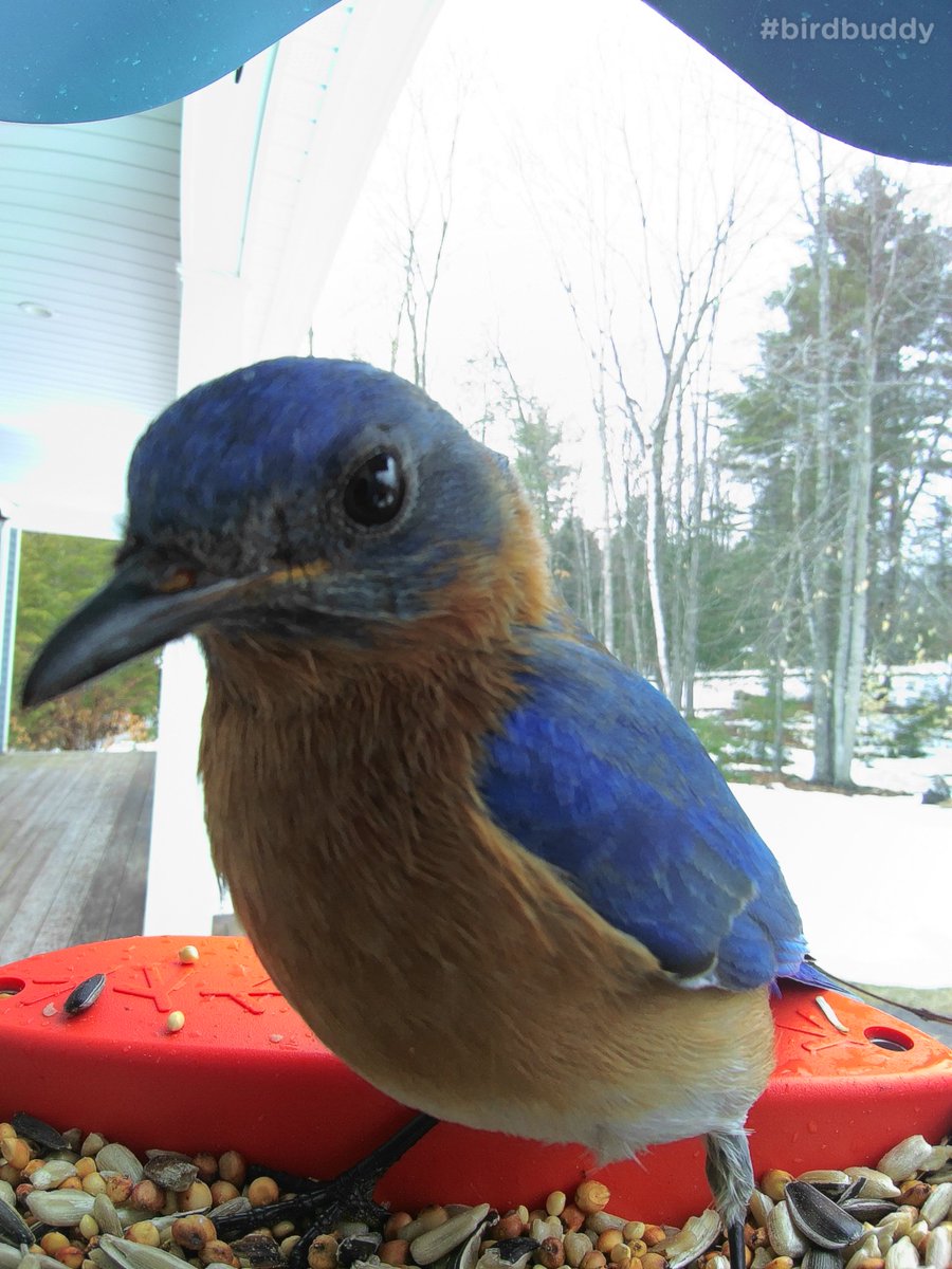 Ken Cochrane tweet media