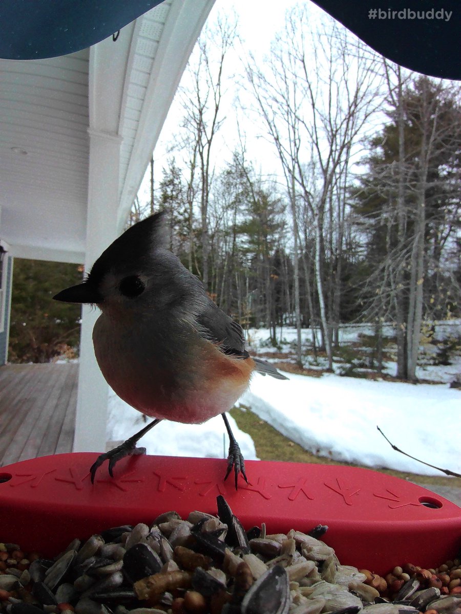 Ken Cochrane tweet media