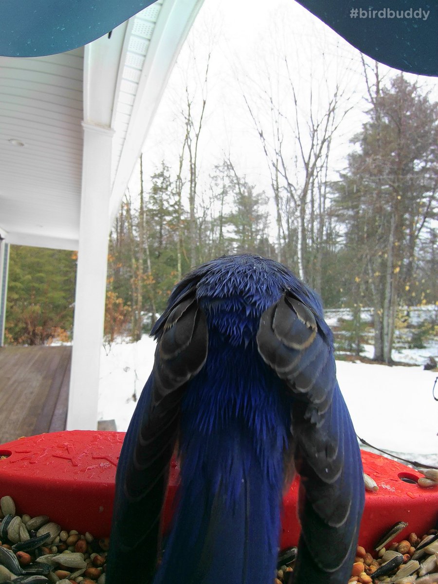 Ken Cochrane tweet media