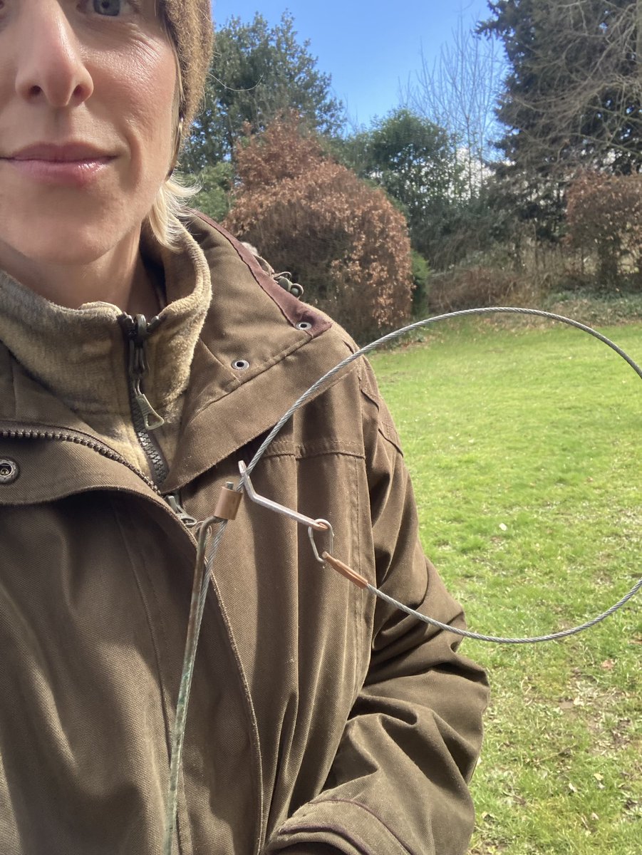 Jodie Case tweet media