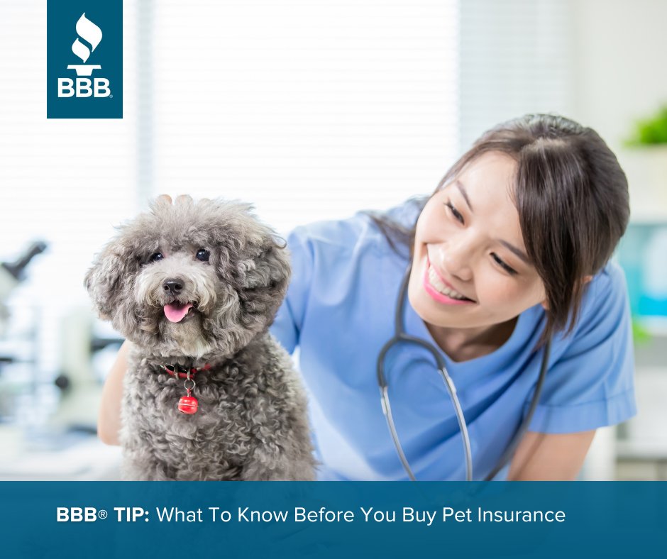 BBBUtahNevada's tweet photo. #BBBTip: Pet insurance can cover unexpected veterinary bills and wellness checks. However, policies vary greatly in price and coverage. If you are considering insurance for your pet, be sure to understand how plans work before you sign up. https://t.co/TA6Vv6xyUm 

#BBB #Pet https://t.co/5HLAvPLPug