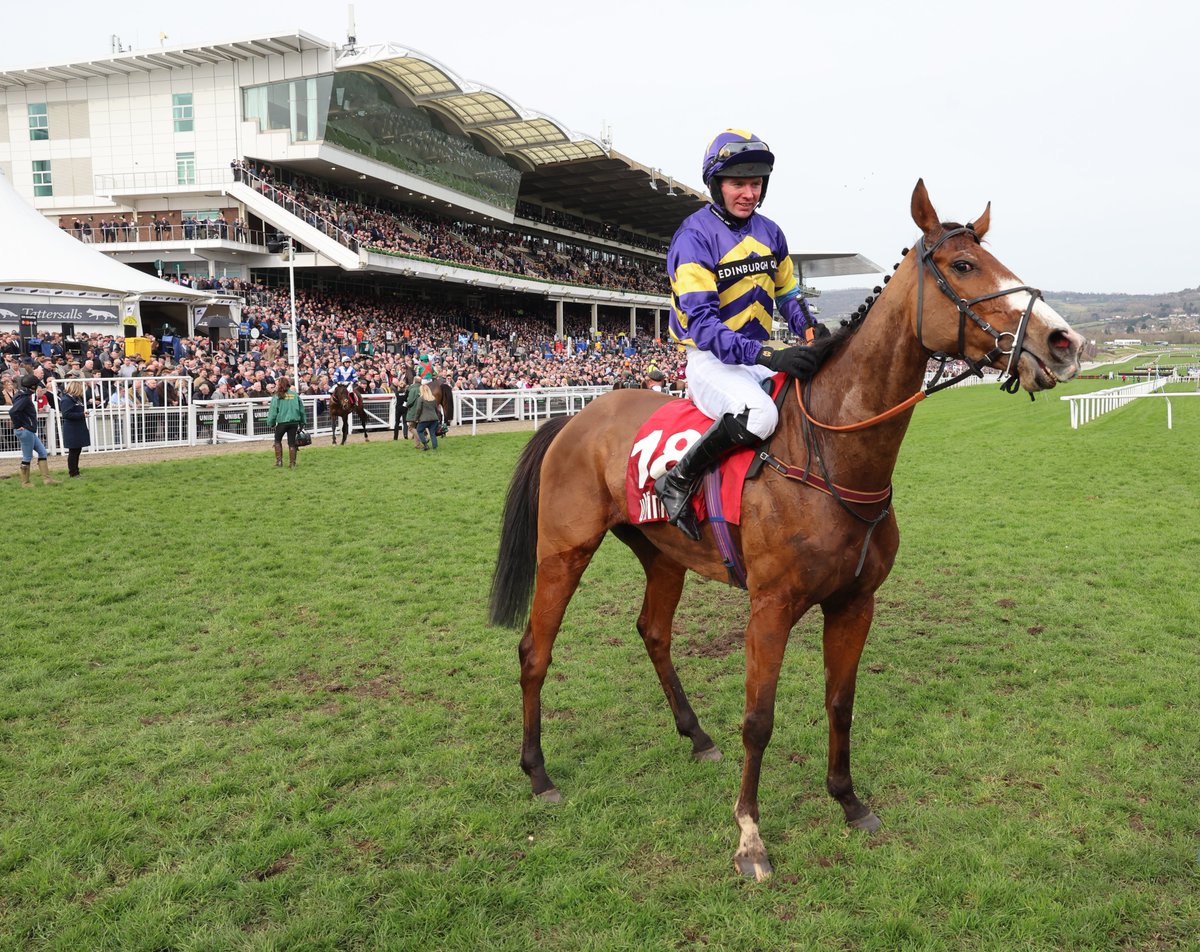 My Racing Tips tweet media