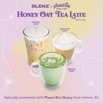 Honey Oat Lattes are back at Blenz! We are so excited to partner with Planet Bee Honey Farm for the second year in a row, a local honey farm in B.C., to bring to life our new Spring lineup. 

🍯 *NEW* Honey Oat Hojicha Latte 
🍯 Honey Oat Matcha Latte
🍯 Honey Oat Black Tea Latte 