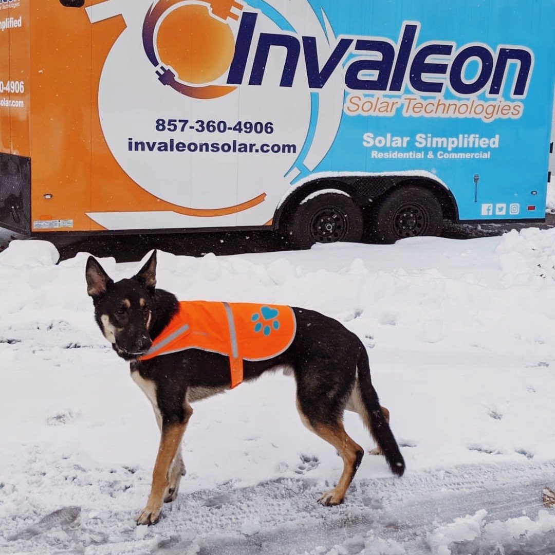 invaleonsolar's tweet photo. Happy snow day! #snowday #invaleonsolar https://t.co/Hg3SKhGkU4