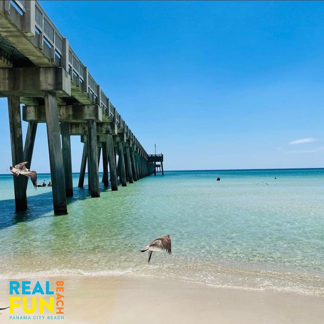 bpbillfishopen's tweet photo. Bay Point Billfish Open wants to give a special shoutout to @visit_pcb who is our presenting sponsor!! We are so grateful for all their support 🏖️ head over to their website for info on places to stay, restaurants, things to do and events (like the 2023 Bay Point Billfish Open😏) https://t.co/7YLUOVEujJ