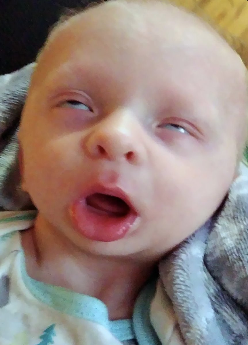 LeahANDJacob12's tweet photo. Unlike my sister i just keep birthing out the cutest like babies! These are probably my cutest ones!!!!!!! https://t.co/6TCIHKYRRI