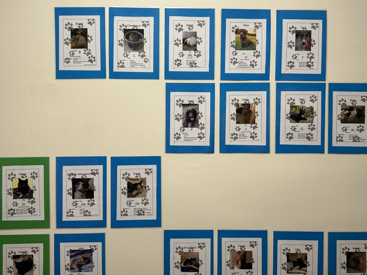 SHSChemistry1's tweet photo. @fozia4  was inspired by @bunsenbernerbmd to create the @SuttonHighGirls #periodictable of pets owned by staff and students. Can you fill in the gaps left for undiscovered pets? @GDST @SuttonHighSTEM @SHSPolSoc @suttonhighgeog #BritishScienceWeek2023 #BritishScienceWeek #pets https://t.co/FSzFJFPnup