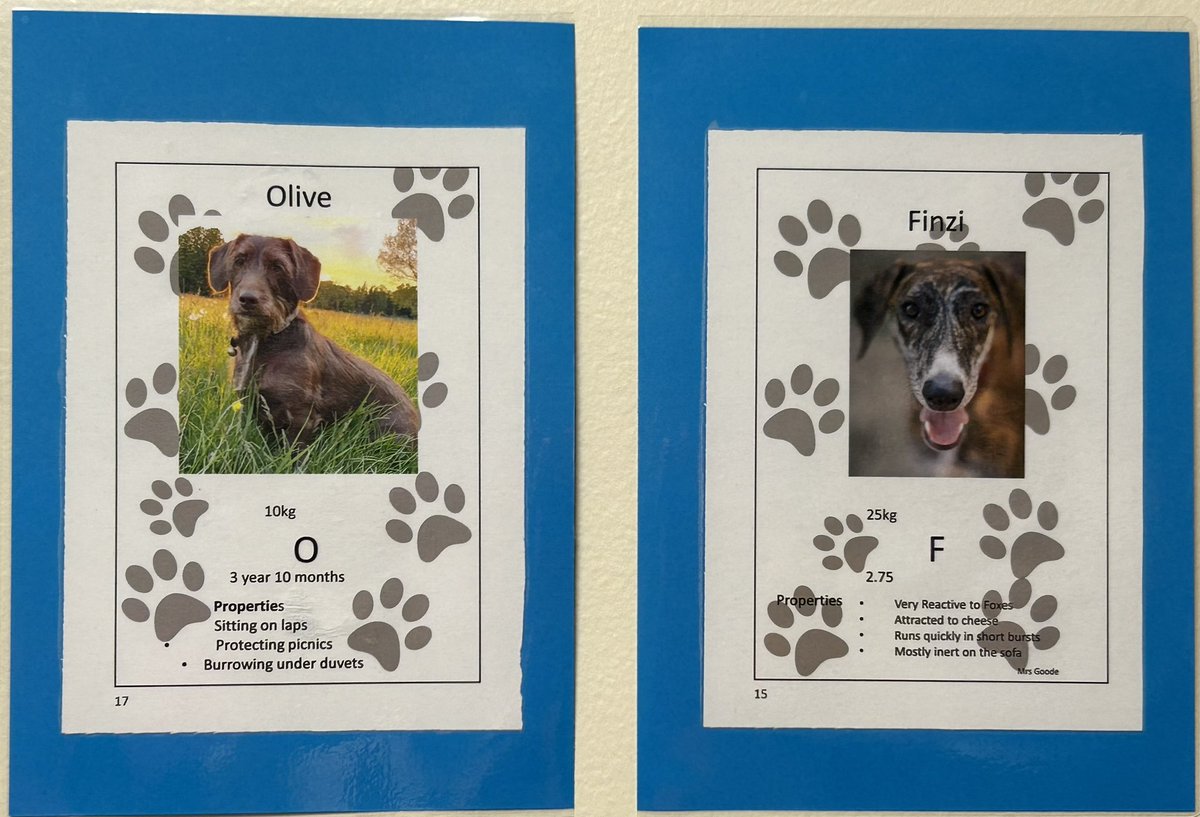 SHSChemistry1's tweet photo. @fozia4  was inspired by @bunsenbernerbmd to create the @SuttonHighGirls #periodictable of pets owned by staff and students. Can you fill in the gaps left for undiscovered pets? @GDST @SuttonHighSTEM @SHSPolSoc @suttonhighgeog #BritishScienceWeek2023 #BritishScienceWeek #pets https://t.co/FSzFJFPnup