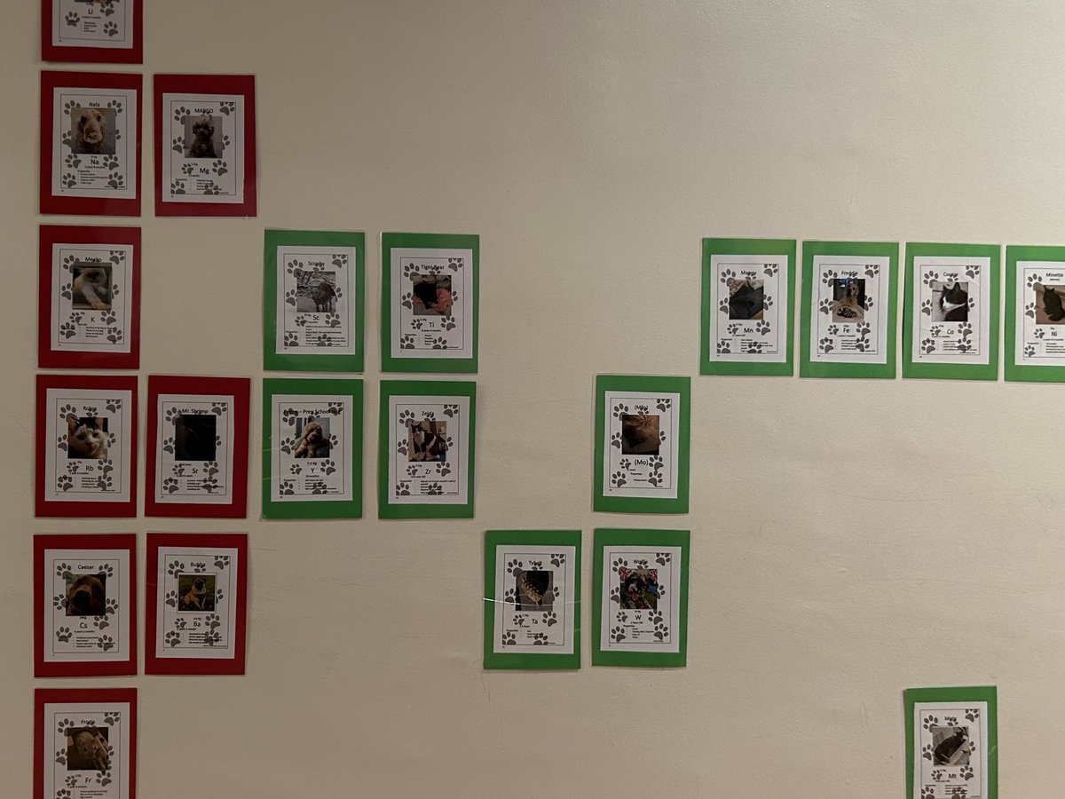 SHSChemistry1's tweet photo. @fozia4  was inspired by @bunsenbernerbmd to create the @SuttonHighGirls #periodictable of pets owned by staff and students. Can you fill in the gaps left for undiscovered pets? @GDST @SuttonHighSTEM @SHSPolSoc @suttonhighgeog #BritishScienceWeek2023 #BritishScienceWeek #pets https://t.co/FSzFJFPnup