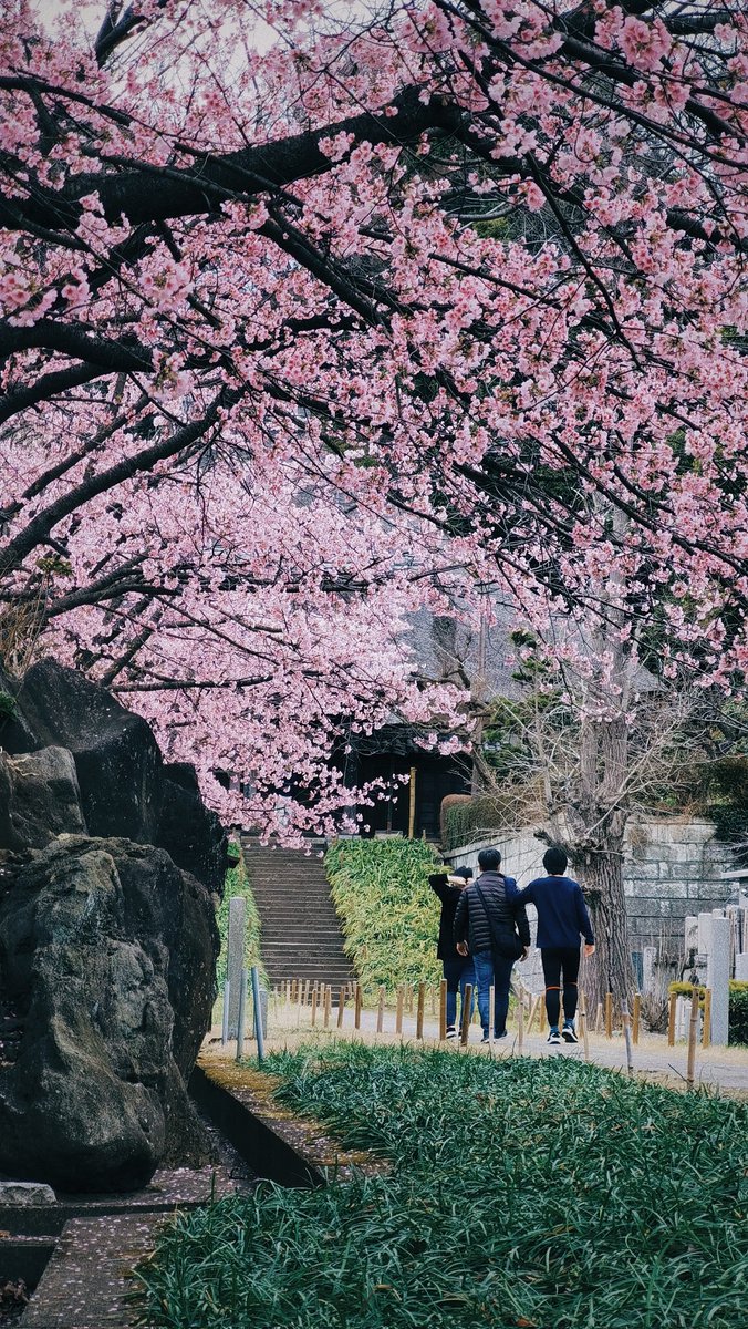 ArbyasChump's tweet photo. @kevinpramudya_ Salam dari yokohama mas kev...
Masih setia dengan Huawei P40 dari tahun 2020. https://t.co/XexFdktnKs