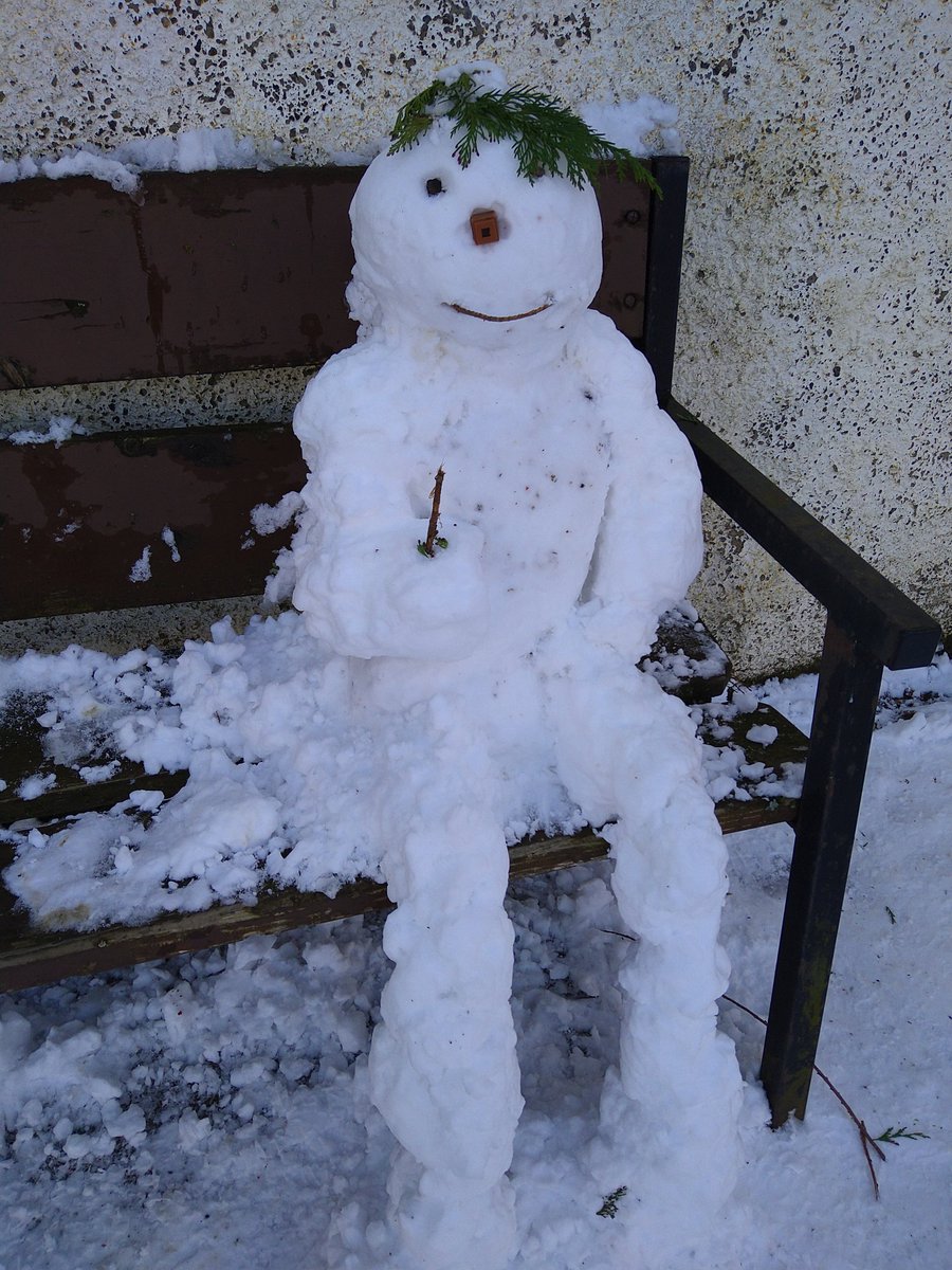 logie_ps's tweet photo. We had an unexpected visitor to school today. Pupils noticed him at lunch time and told him he could sit for a little while... @onceuponashire @bbcweather https://t.co/n77aZ85hjh